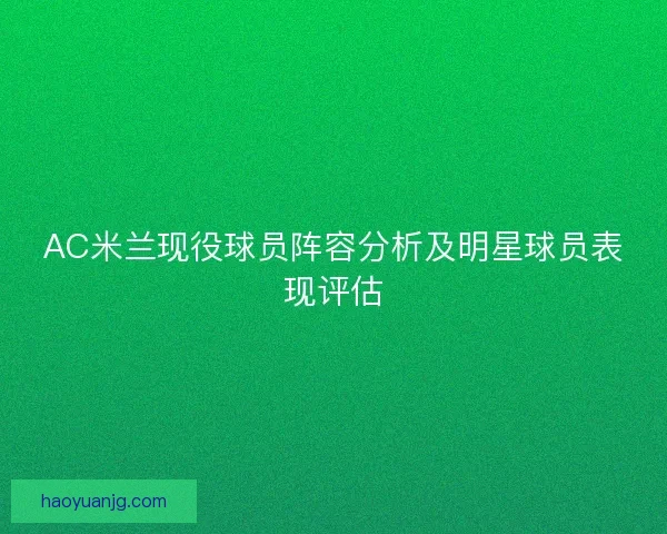 AC米兰现役球员阵容分析及明星球员表现评估